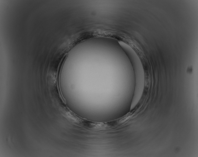 X0000089370621200707131638