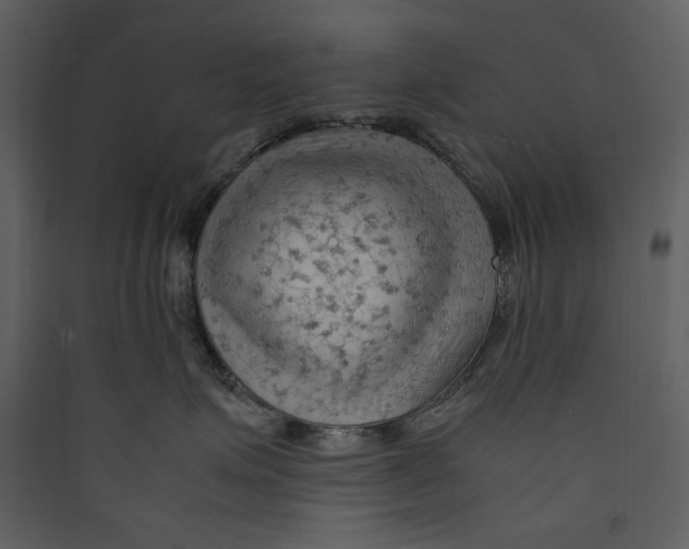 X0000089370623200707131638