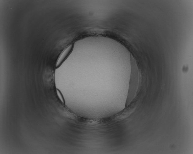 X0000089370624200707131638