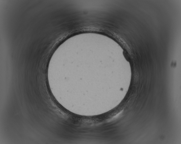 X0000089370625200707131637