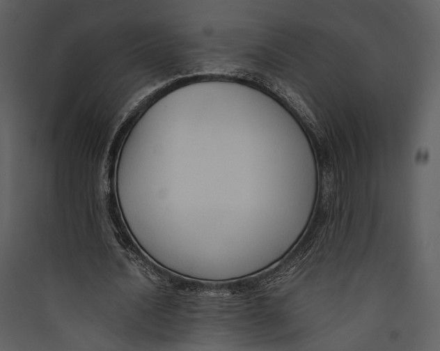 X0000089370628200707131637