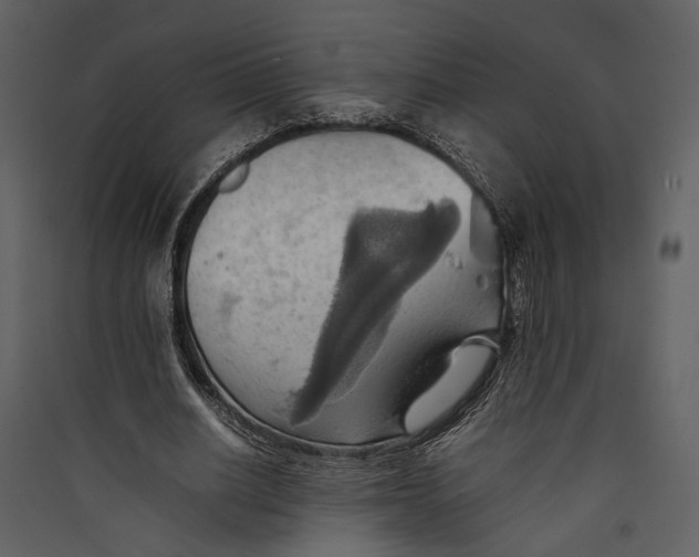 X0000089370630200707131637