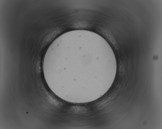 X0000089370633200707131637