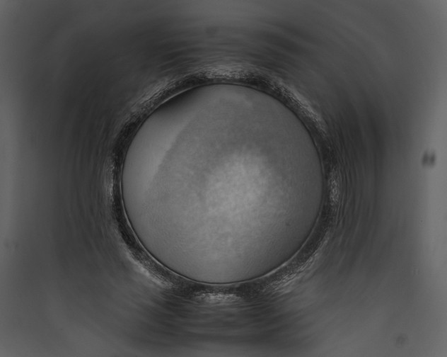 X0000089370637200707131637