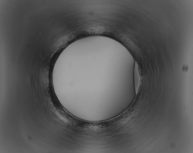 X0000089370638200707131637