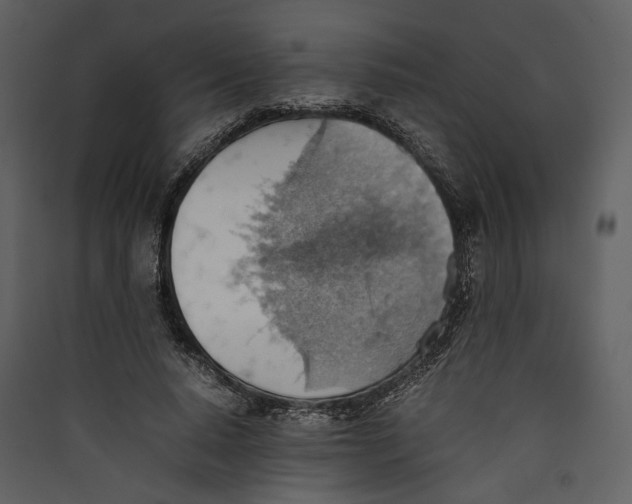 X0000089370640200707131637