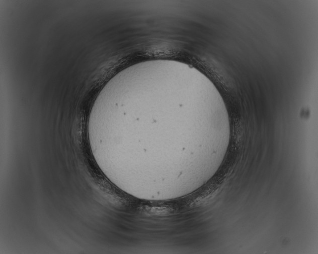 X0000089370645200707131638