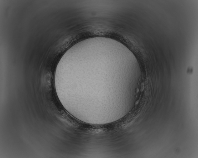 X0000089370646200707131638