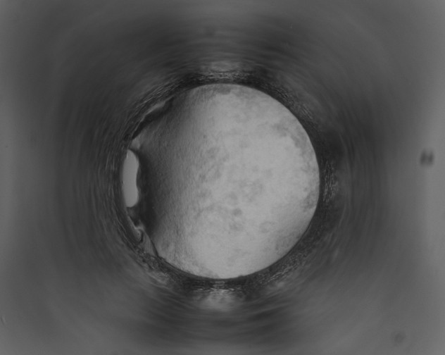 X0000089370647200707131638