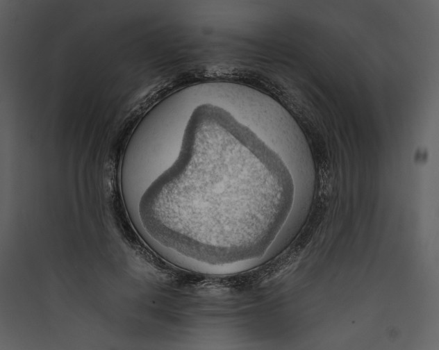 X0000089370648200707131638