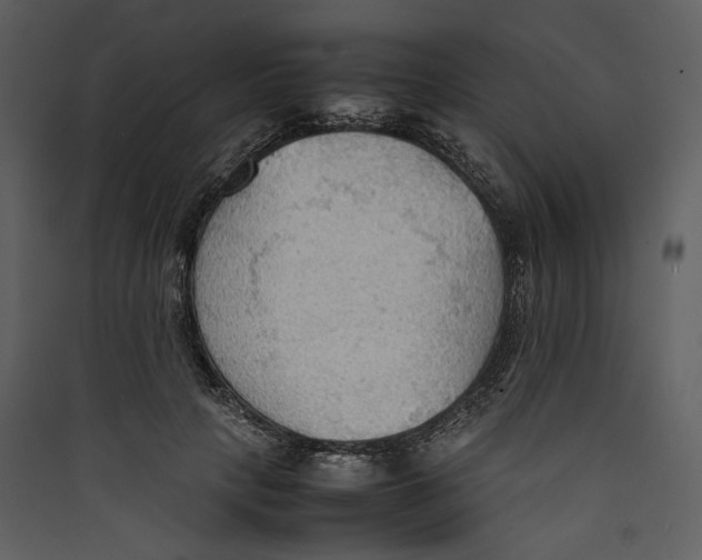 X0000089370649200707131638