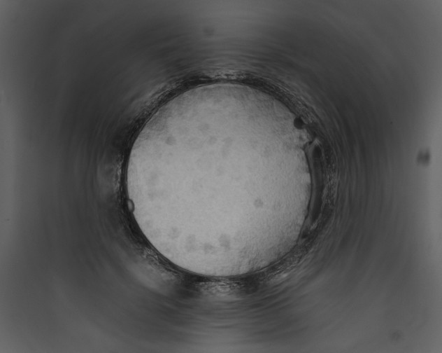 X0000089370652200707131638