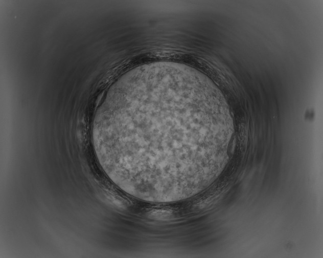 X0000089370653200707131638