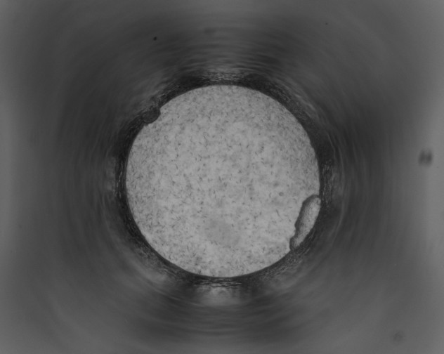 X0000089370655200707131638
