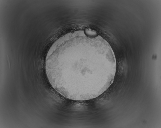 X0000089370657200707131638