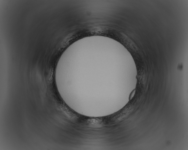 X0000089370660200707131638