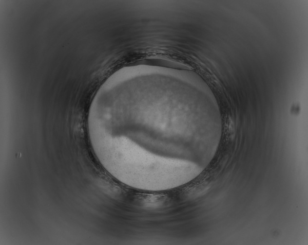 X0000089370663200707131638