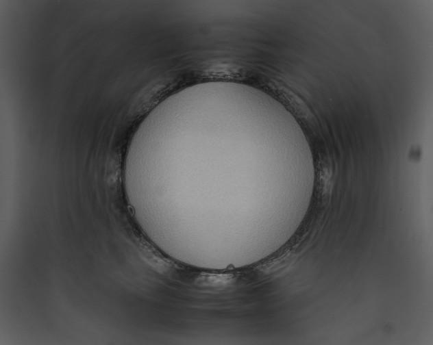 X0000089370665200707131638