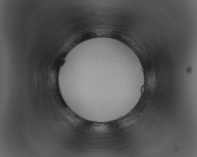 X0000089370667200707131638