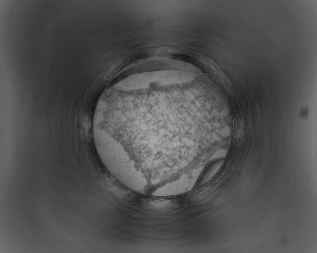 X0000089370669200707131638