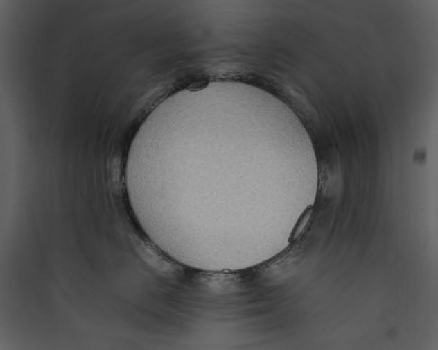 X0000089370670200707131638