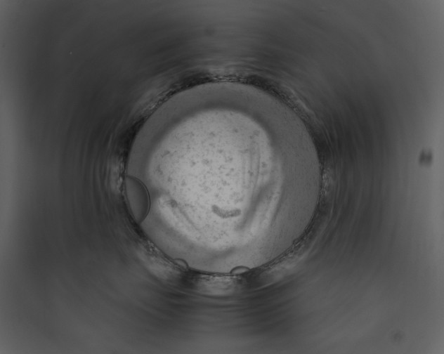 X0000089370671200707131638