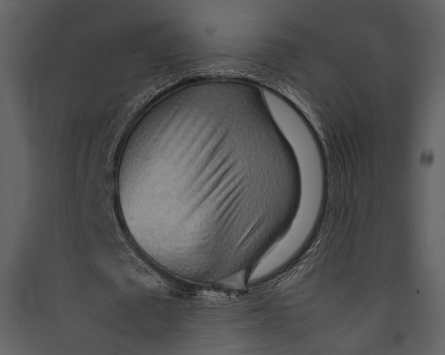 X0000089370673200707131637