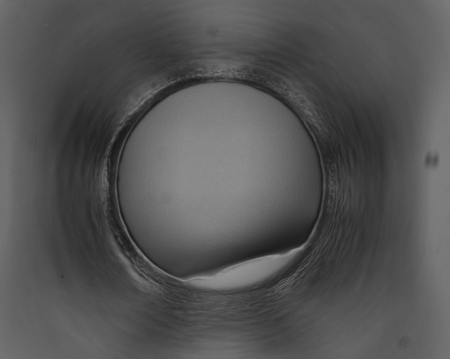 X0000089370674200707131637