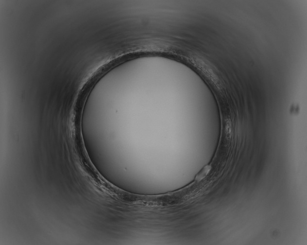 X0000089370676200707131637