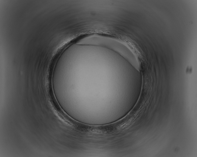 X0000089370677200707131637