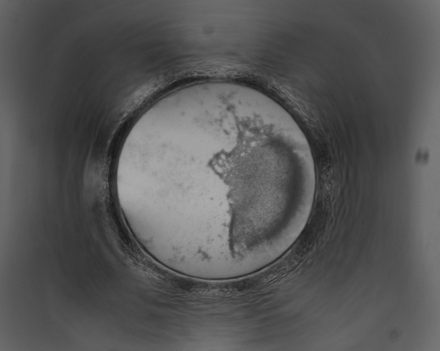 X0000089370679200707131637