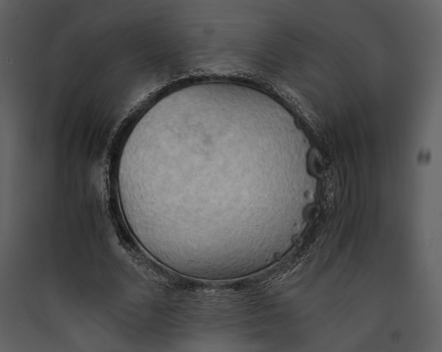 X0000089370680200707131637