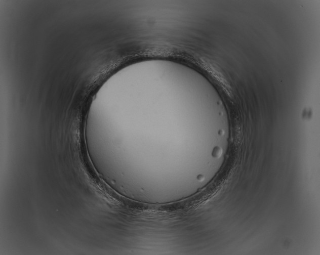 X0000089370681200707131637