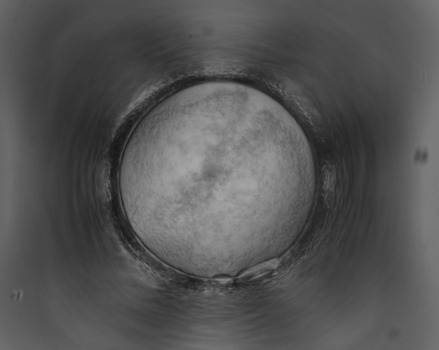 X0000089370684200707131637