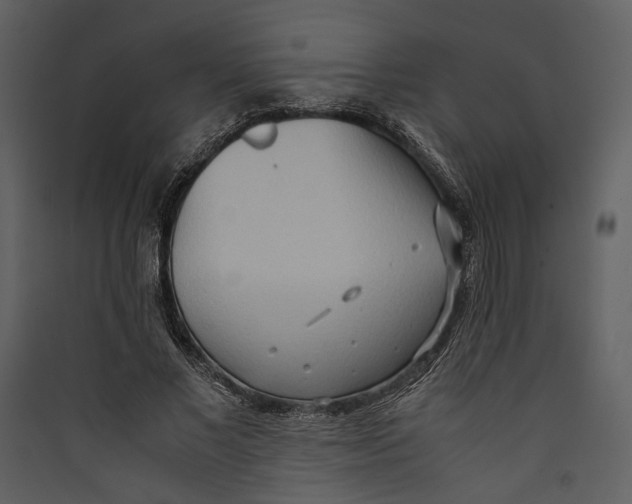 X0000089370685200707131637