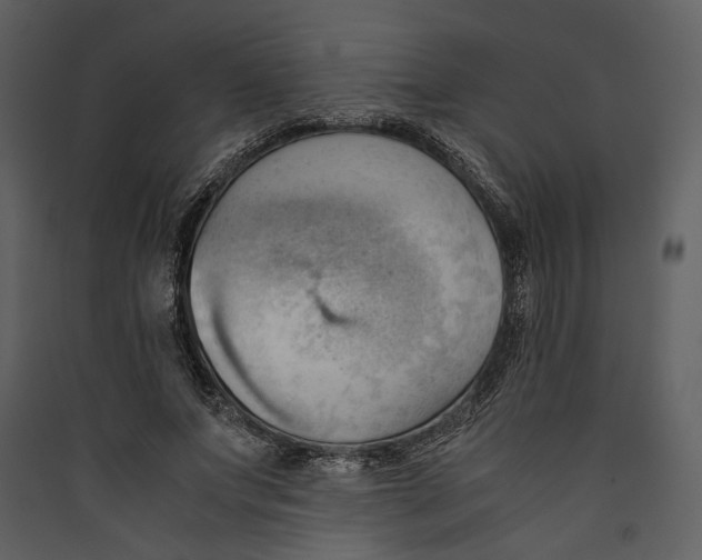 X0000089370687200707131637