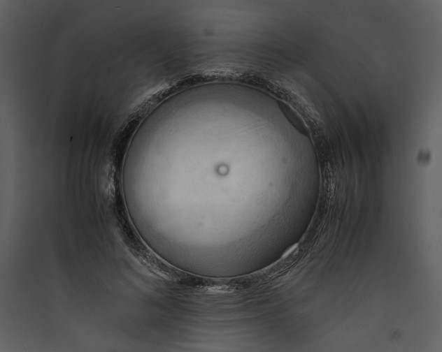 X0000089370692200707131637