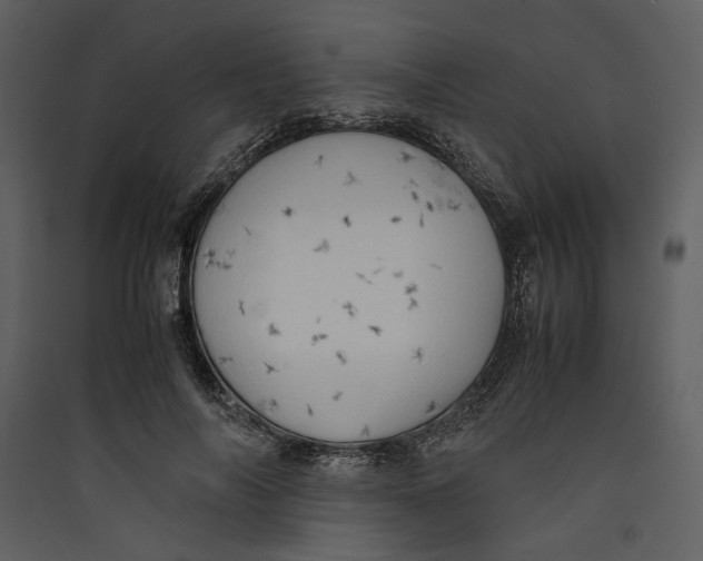 X0000089370694200707131637