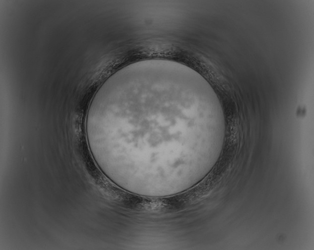 X0000089370695200707131637