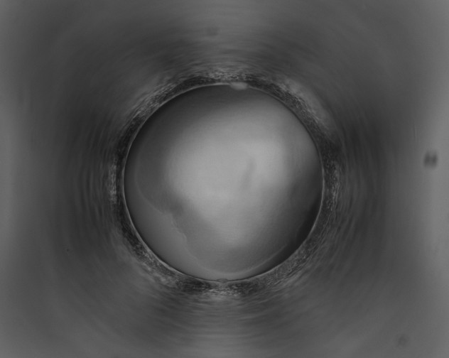 X0000089370696200707131637