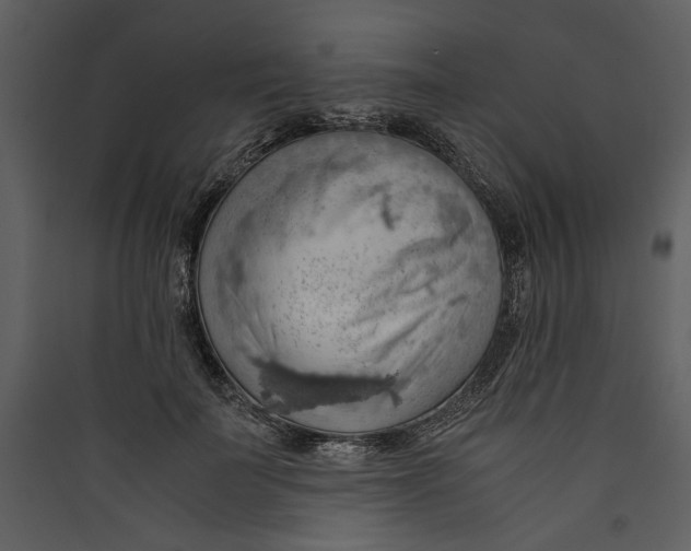 X0000089370699200707131637