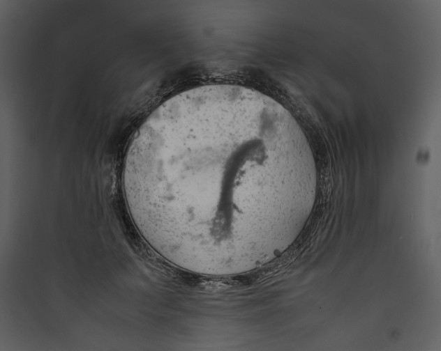 X0000089370703200707131637