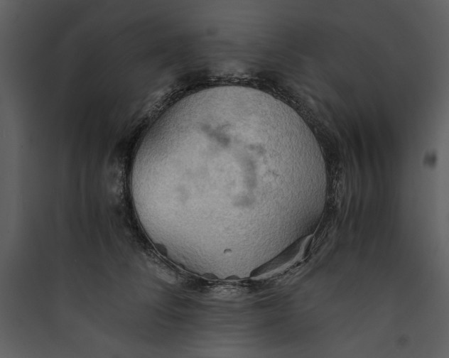 X0000089370708200707131637