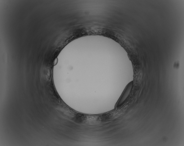 X0000089370709200707131637