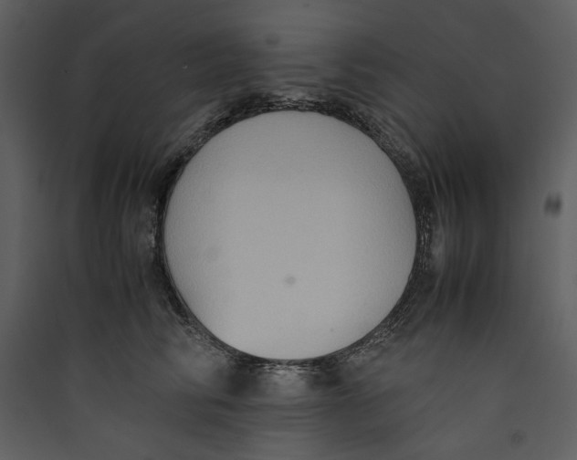 X0000089370710200707131637