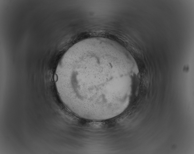 X0000089370711200707131637