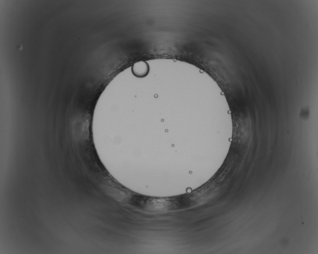 X0000089370717200707131637