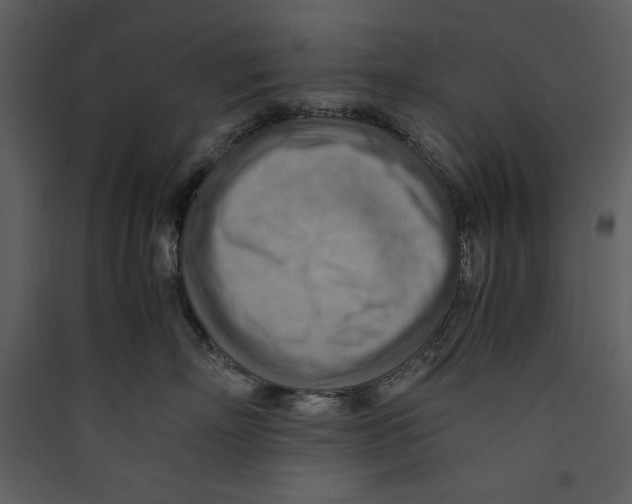 X0000089370718200707131637