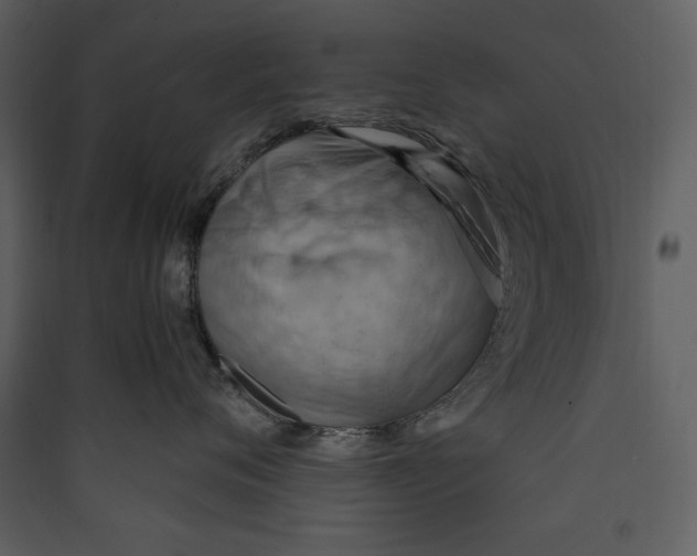 X0000089370720200707131637