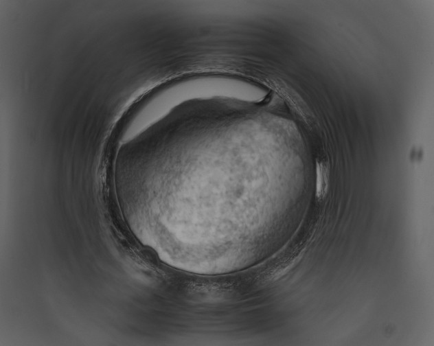 X0000089370723200707131636